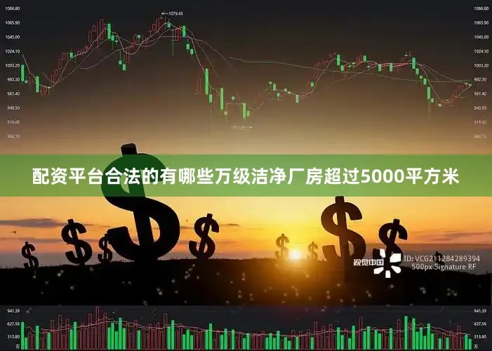配资平台合法的有哪些万级洁净厂房超过5000平方米