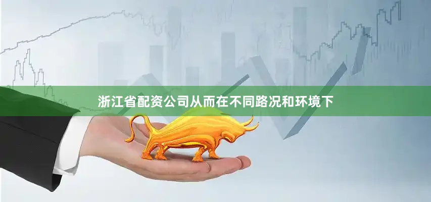 浙江省配资公司从而在不同路况和环境下